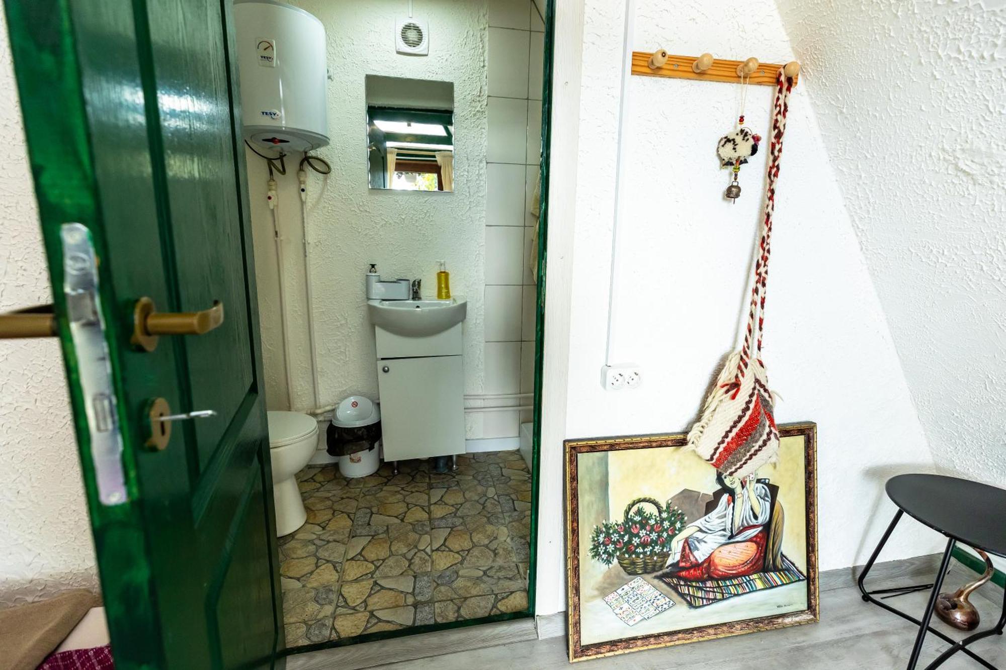 Catunu' Lui Emil Villa Carbunesti Dış mekan fotoğraf